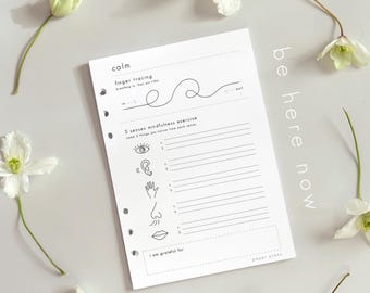 Calm Anxiety Printable: Self Regulation Chart for Anxiety Stress, Mental Health Journal, Mindfulness Exercise, Calm Nervous System ( PDF )