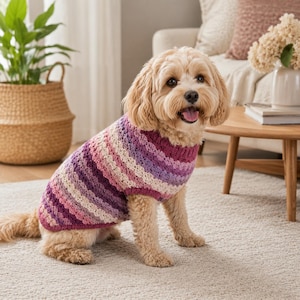 Può includere: Un cane indossa un maglione a righe all'uncinetto nei toni del viola, rosa e crema. Il maglione ha uno scollo tondo. Il cane è seduto su un tappeto chiaro in una stanza ben illuminata.