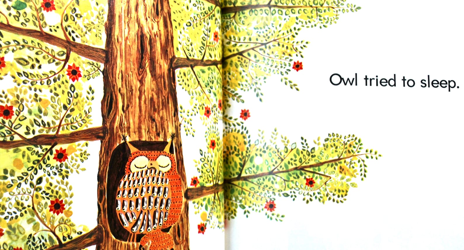 Good Night Owl! by Pat Hutchins HC 1972 - Etsy