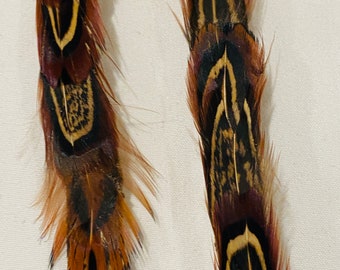 ASSORTED FEATHERS on brown ribbon