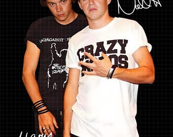 Niall Horan and Harry Styles Duo Tour PNG-Datei Design, Konzert T-Shirt Grafik (Digitaler Download)