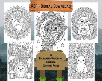 Libro para colorear para adultos: Mandalas del Bosque Encantado, 20 páginas, PDF imprimible