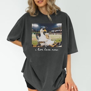 Goose I live Here Now Shirt, Ballpark Field Shirt, Funny Game Day Shirt, Softball Mom Tee, Baseball Mama, Baseball Mom Tee