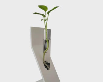Plant Propagation Vase with Glass Tube, Minimalist Indoor Decor