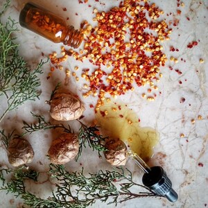 Puede incluir: Vista cenital de una pequeña botella de vidrio ámbar con copos rojos, un cuentagotas, vainas secas y ramitas verdes. La composición se encuentra sobre una superficie con aspecto de mármol.