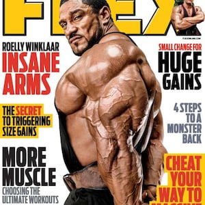 Peut inclure: Couverture du magazine Flex avec Roelly Winklaar en vedette. Le titre "INSANE ARMS" est en rouge, avec d'autres textes tels que "Cheat Your Way to Massive Gains". La couverture est principalement jaune, rouge et noire.