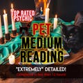 Pet Reading EXTRA DETAILED Deceased or Living Animal Reading, Cat & Dog Readings, Pet Mediumship product logo