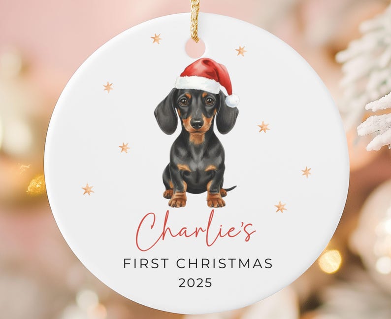 Dachshund Ornament Keepsake Personalized Puppy's First Christmas Ornament Dachshund Gifts Pets first Christmas Ornament for Dachshund Mom image 10