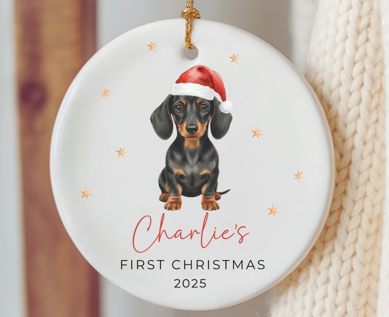 Dachshund Ornament Keepsake Personalized Puppy's First Christmas Ornament Dachshund Gifts Pets first Christmas Ornament for Dachshund Mom image 11