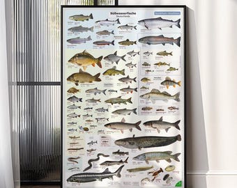 Süßwasserfische Deutschlands Krebse und Muscheln Poster Movie Poster - Wand Kunst - Home Decor - Geschenk Print