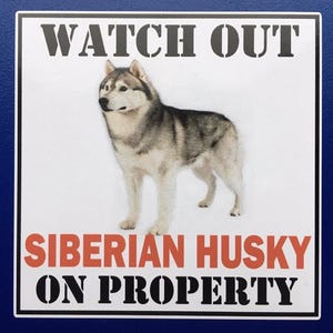 Op de afbeelding: Een vierkant bord met een witte achtergrond en een zwarte rand. De tekst WATCH OUT staat bovenaan in het zwart gedrukt. Een centrale afbeelding toont een grijze en witte Siberische Husky. De tekst SIBERIAN HUSKY ON PROPERTY staat in rood en zwart.