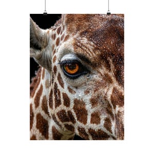 Captivating Giraffe Eye Wall Art Print - Majestic Wildlife Photography, Safari Home Decor, Nature Lover Gift