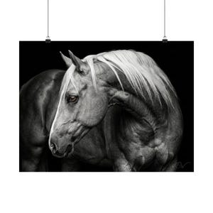 Horse Portrait Print: Black White Contrast with Amber Eye - Digital Design, Ranch House Wall Art, Archival Quality
