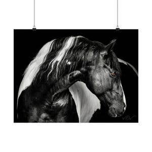 Black White Amber Majestic Horse Print, Dramatic Amber Eye (Large Format, Museum-Grade Satin Paper, Living Room Accent)