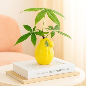 May include: A bright yellow ceramic vase shaped like a lemon, holding a green plant with large leaves. The vase sits atop a stack of books, one with the text "He that died for hee MY DEAR THAT LORD".