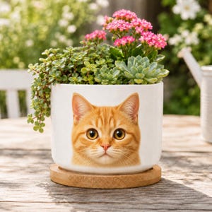 May include: A white ceramic planter featuring a detailed orange tabby cat face. The planter holds a variety of plants, including succulents and flowering plants with pink blooms. The planter sits on a round wooden coaster.
