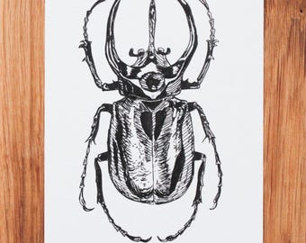Atlas Beetle Art Print A6