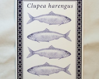 Blue Herring Print A5