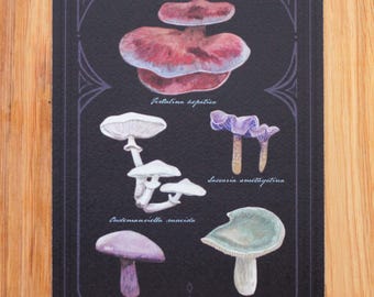 Magic Mushrooms Print A5