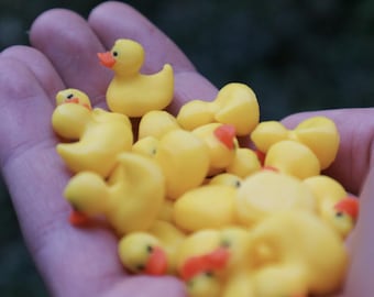 3D Printed Mini Ducks Pack Of 20