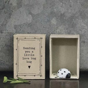 Op de afbeelding: Een set van twee decoratieve lucifersdoosjes. Eén doosje is open en toont een witte lieveheersbeestje met zwarte stippen. Op het gesloten doosje staat de tekst "Sending you a little love bug hug" met een hartje.