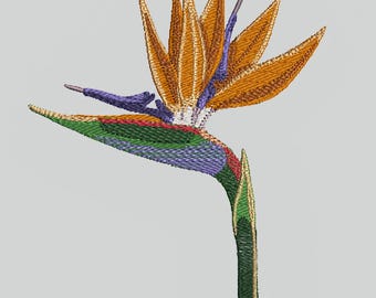 Machine Embroidery Design, Flower Strelitzia Madeira, Flower Embroidery 5.315”×3.589”, 17,114 stitches, Digital File Pes Dst Exp Jef VP3 Hus