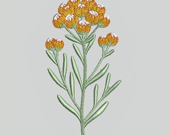 Machine Embroidery Design, Flower Everlasting (Immortelle) Madeira, 5.315” × 2.852” 16,391 stitches, Digital File: Pes Dst Exp Jef VP3 Hus