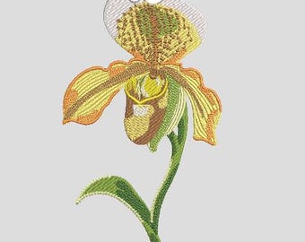 Machine Embroidery Design, Paphiopedilum insigne – Slipper Orchid, Digital File: Pes Dst Exp Jef VP3 Hus, 4.393”×7.087” 26928 stitches