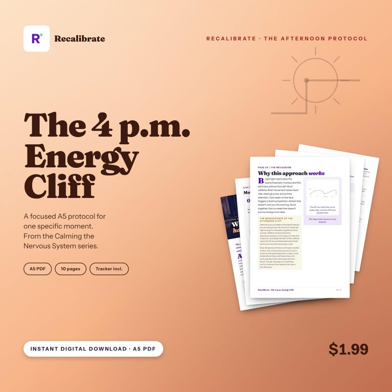 Afternoon Slump Guide, Beat the 3pm Energy Crash Without More Coffee, Printable PDF image 1