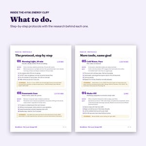 Afternoon Slump Guide, Beat the 3pm Energy Crash Without More Coffee, Printable PDF image 3