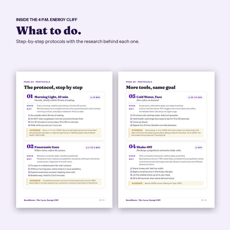Afternoon Slump Guide, Beat the 3pm Energy Crash Without More Coffee, Printable PDF image 3