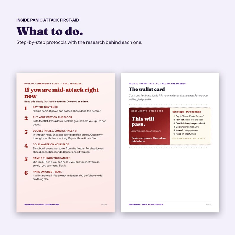 Panic Attack Guide with Wallet Card, Step by Step Calm Down Plan, Printable PDF image 3