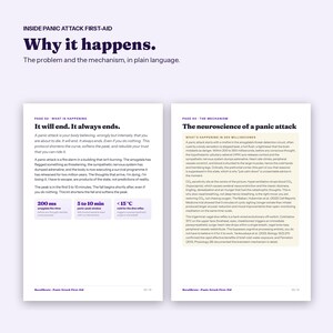 Panic Attack Guide with Wallet Card, Step by Step Calm Down Plan, Printable PDF image 2