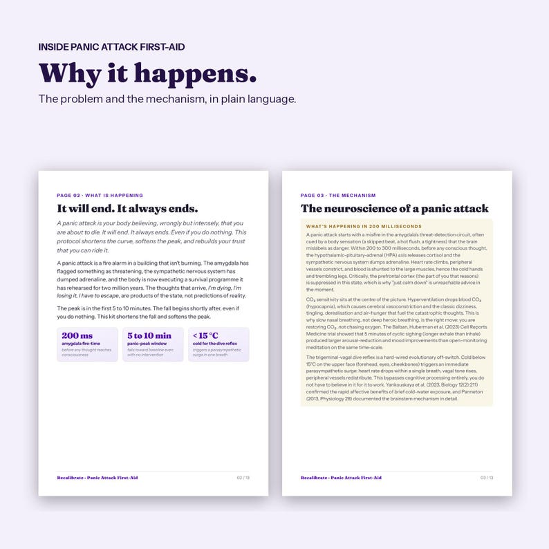 Panic Attack Guide with Wallet Card, Step by Step Calm Down Plan, Printable PDF image 2