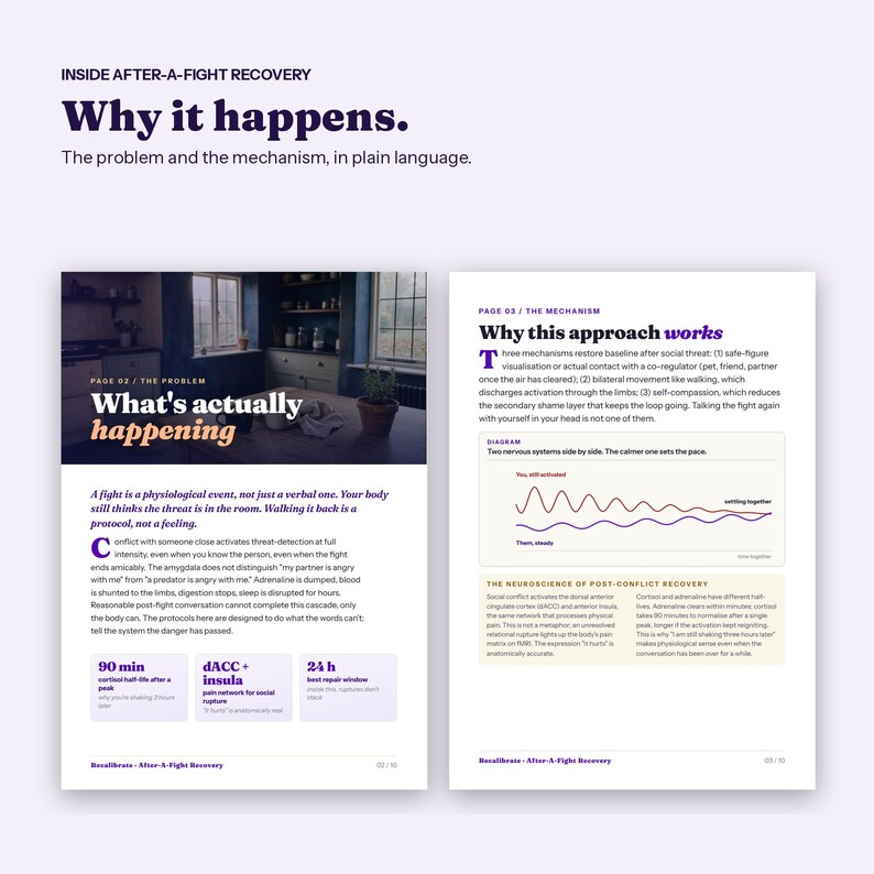 Calm Down After an Argument, Recovery Guide After a Fight, Printable Relationship PDF image 2