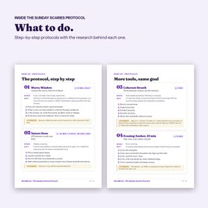 Sunday Scaries Guide, Calm Sunday Night Anxiety Before the Work Week, Printable PDF image 3