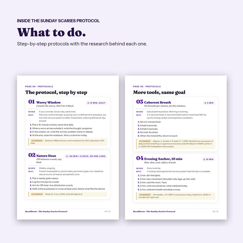 Sunday Scaries Guide, Calm Sunday Night Anxiety Before the Work Week, Printable PDF image 3