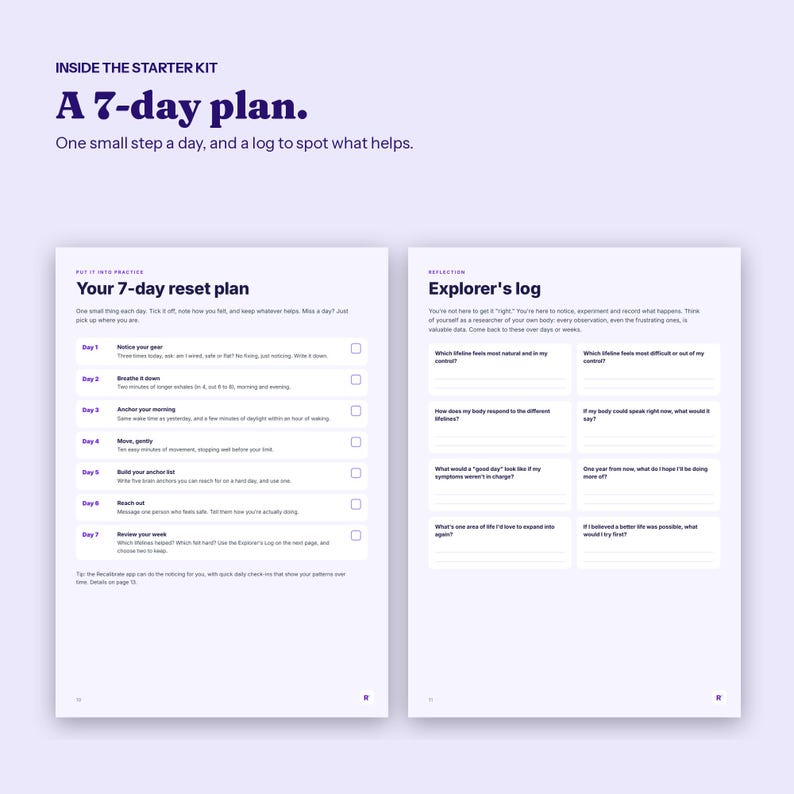 Starter-Kit zur Neustart des Nervensystems, Anfängerleitfaden und 7-Tage-Plan, druckbares PDF Bild 3