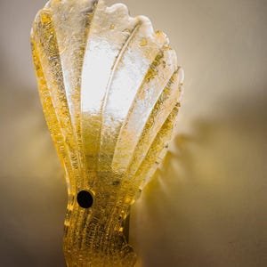 May include: A wall-mounted light fitting shaped like a seashell, crafted from textured, translucent amber-coloured glass. The design features vertical ridges and a prominent black circular screw head on the lower section, emitting a warm glow.