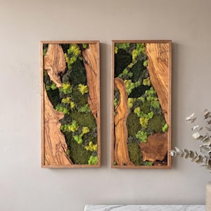 Olive Wood Moss Wall Art Diptych, Preserved Greenery Decor, Woodland Panels, Farmhouse Living Room Accent Gift, Artwork with a natural frame
