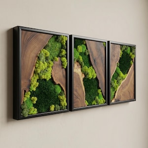 Moss Wall Art Olive Wood Decor, Preserved Greenery Panel, Natural Woodland Sculpture, Rustic Farmhouse Living Room Gift image 2
