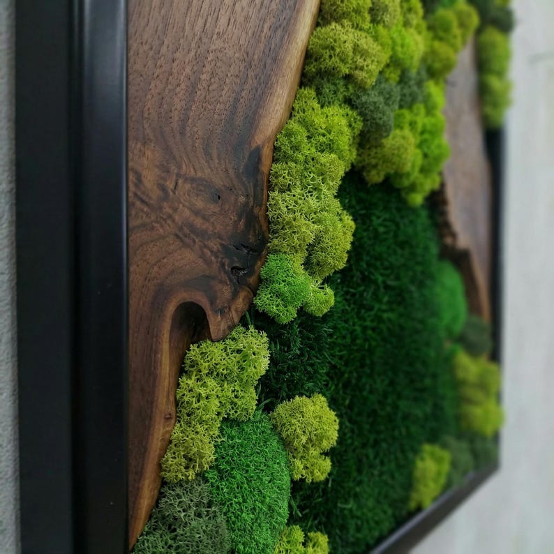 Moss Wall Art Olive Wood Decor, Preserved Greenery Panel, Natural Woodland Sculpture, Rustic Farmhouse Living Room Gift image 8