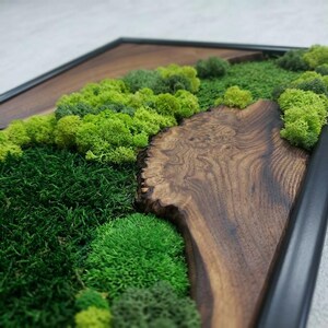 May include: A framed artwork featuring a naturalistic landscape. The piece combines vibrant green moss with a dark wood element, creating a textured, three-dimensional effect. The frame is black, providing a contrasting border to the organic elements.
