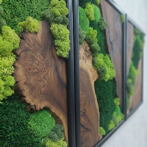 Moss Wall Art Olive Wood Decor, Preserved Greenery Panel, Natural Woodland Sculpture, Rustic Farmhouse Living Room Gift image 5