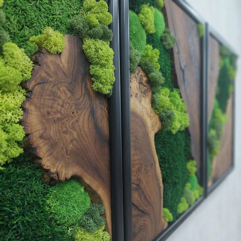 Moss Wall Art Olive Wood Decor, Preserved Greenery Panel, Natural Woodland Sculpture, Rustic Farmhouse Living Room Gift image 5