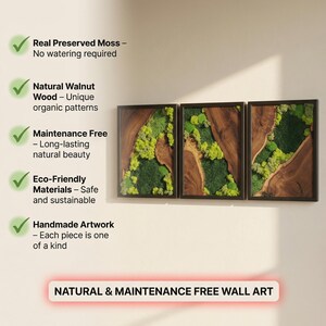 May include: Three framed wall art pieces featuring preserved moss and natural walnut wood. The artwork is maintenance-free and eco-friendly. The text on the image reads "NATURAL & MAINTENANCE FREE WALL ART."