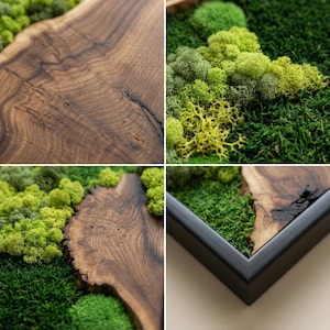 Moss Wall Art Olive Wood Decor, Preserved Greenery Panel, Natural Woodland Sculpture, Rustic Farmhouse Living Room Gift image 7