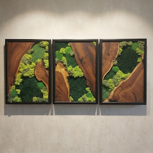 May include: Three framed wall art pieces. Each features a section of natural wood grain with a dark frame. The wood surrounds a vibrant display of green moss, creating a natural, textured aesthetic. The moss varies in shades of green.