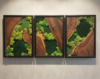 Preserved Moss Wall Art, Walnut Wood Decor, Set of 3