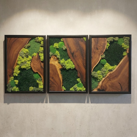 Preserved Moss Wall Art Set of 3, Olive Wood Decor, Woodland Greenery Panels, Farmhouse Living Room Accent, Housewarming Gift